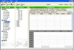 �ſ�����